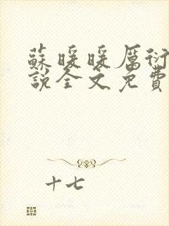 苏暖暖厉衍琛小说全文免费阅读