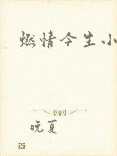 燃情今生小说