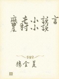 恋老小说言情网农村小说