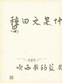 种田文是什么意思