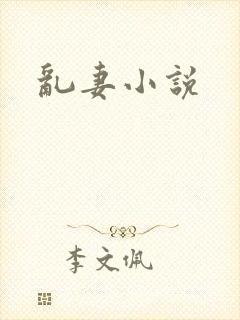 乱妻小说