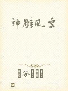 神雕风云