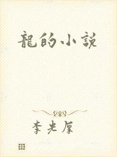 龙的小说