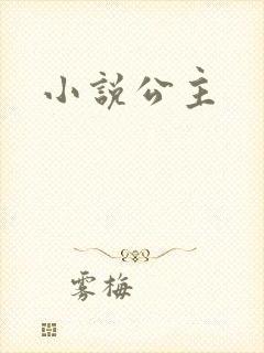 小说公主