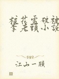 校花处破被灌满李老头小说