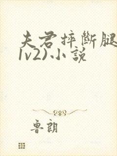 夫君摔断腿后(1v2)小说