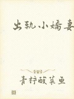 出轨小娇妻