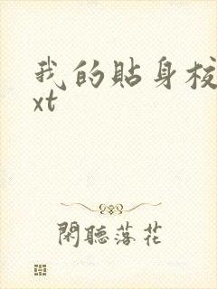 我的贴身校花txt