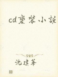 cd变装小说