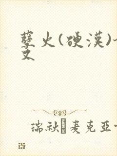 孽火(硬汉)今又