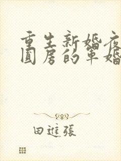 重生新婚夜正在圆房的军婚