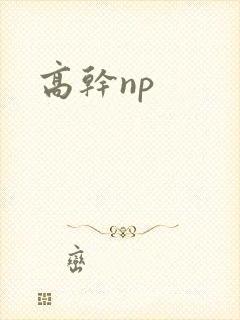 高干np