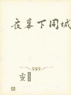 夜幕下同城网