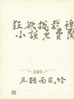 狂欲总裁穆非雪 小说免费阅读