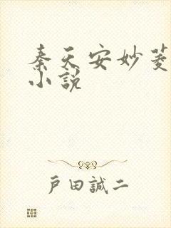 秦天安妙菱修仙小说