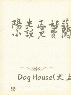 阳光正好苏玥玥小说免费阅读