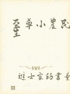 至尊小农民王木生