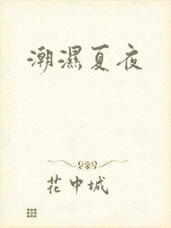 潮湿夏夜