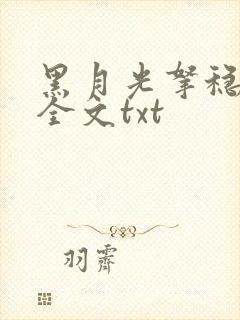 黑月光拿稳小说全文txt