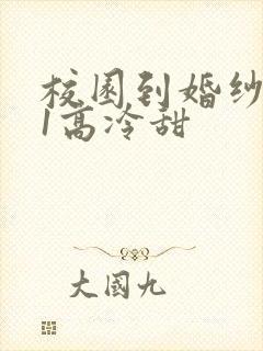 校园到婚纱1V1高冷甜