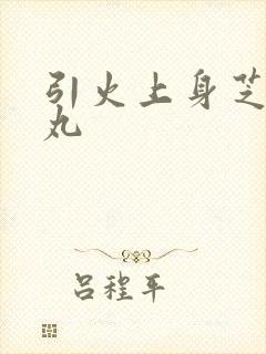 引火上身芝麻糖丸