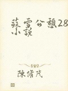 苏雪公憩28篇小说