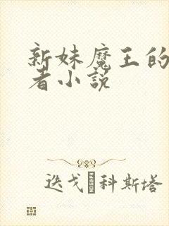 新妹魔王的契约者小说