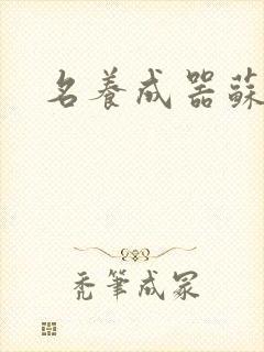 名养成器苏沫沫