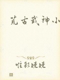 荒古武神小说