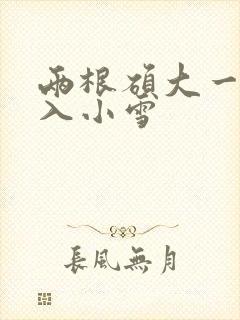 两根硕大一起挤入小雪