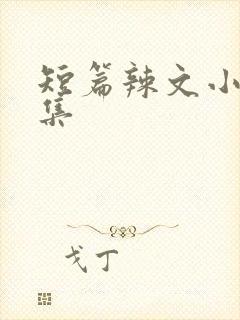 短篇辣文小说合集