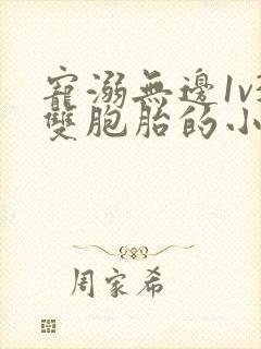 宠溺无边1v3双胞胎的小说