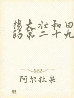 杨大壮和田桂花的第二十九