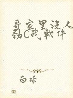 哥家里没人使点劲C我软件