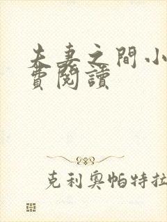 夫妻之间小说免费阅读