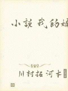 小说 我的娇妻