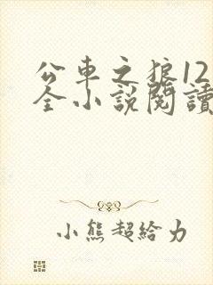 公车之狼12集全小说阅读