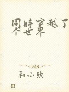 同时穿越了99个世界