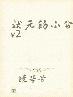 状元的小公主1v2