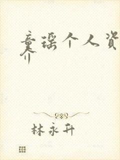 童瑶个人资料简介