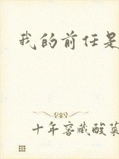 我的前任是极品