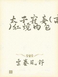 太子宠妾(高肉)红烧肉包