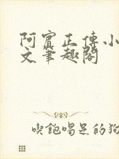 阿宾正传小说全文笔趣阁