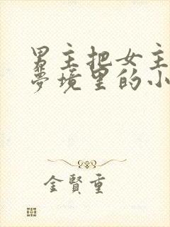 男主把女主拖进梦境里的小说