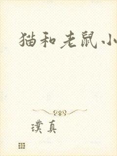 猫和老鼠小说