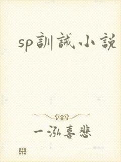 sp训诫小说