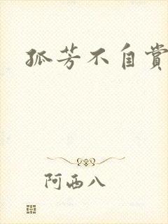 孤芳不自赏小说