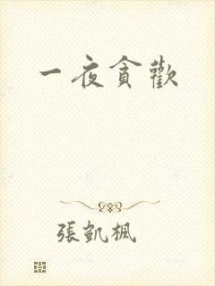 一夜贪欢