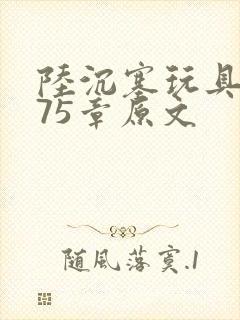 陆沉塞玩具高速75章原文