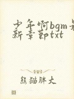 少年啊bgm最新章节txt